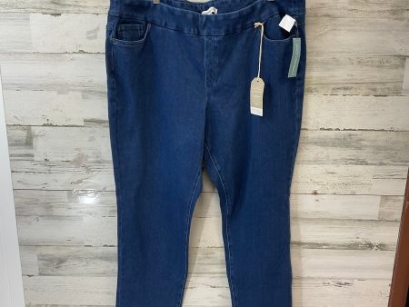 Jeans Straight By Coldwater Creek In Blue Denim, Size: 22 Cheap