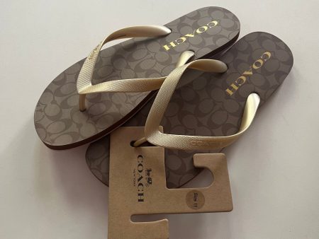 Sandals Flip Flops By Coach In Brown, Size: 11 Cheap